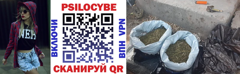 shop формула  закладки  Ангарск  Псилоцибиновые грибы Psilocybe  блэк спрут  